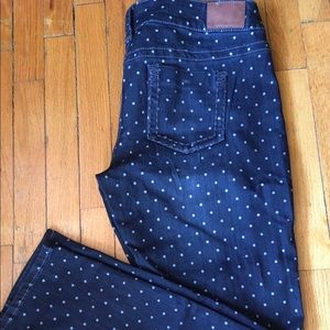 Maurices XL polka dot begging